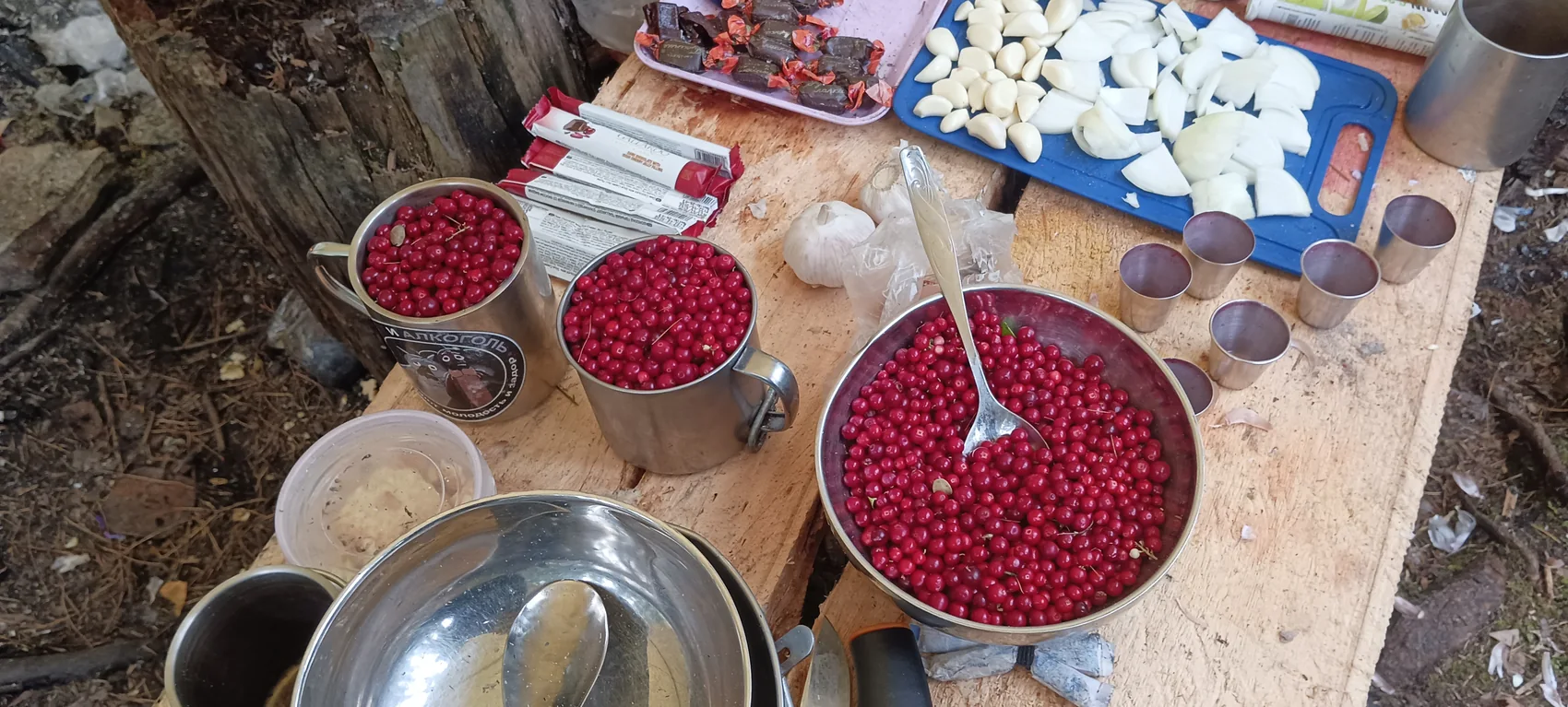 Лесные ягоды и продукты на походном столе
